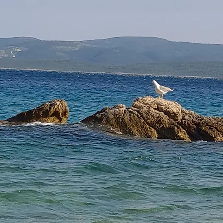 Nel Villa Lokva Rogoznica